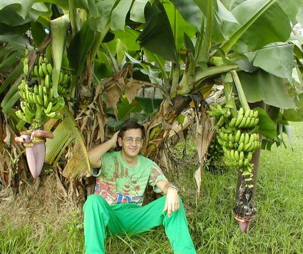 Лёвочкин Андрей