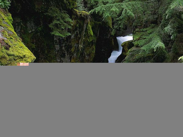 Лена Мучинская