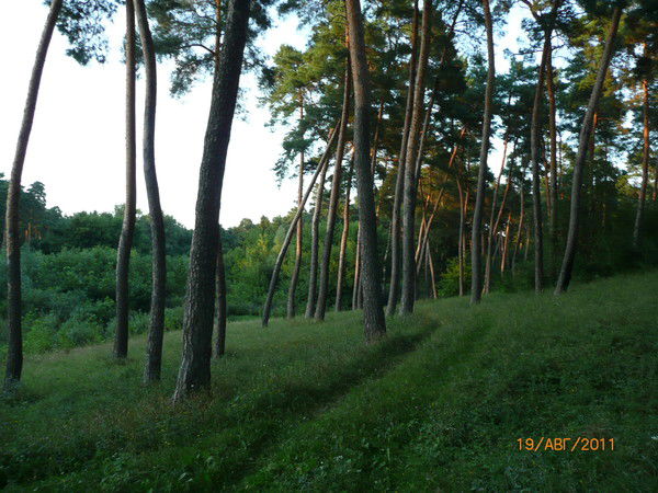 Виталий Вепрецкий