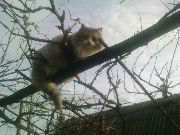 Игорь Казаков