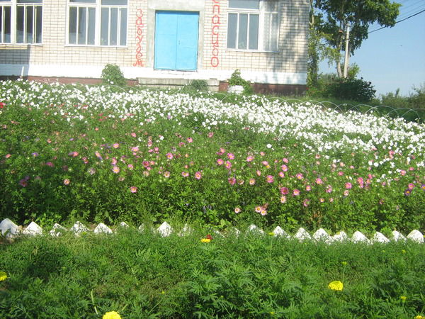 Школа Кирельская