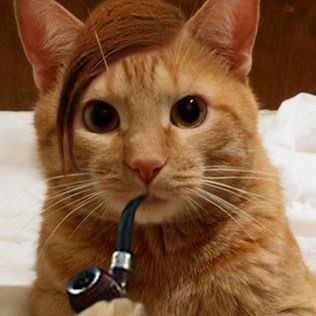 Дима Наполов