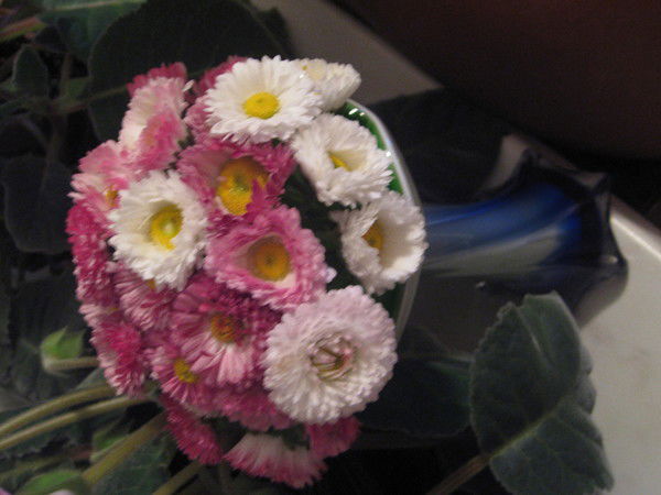 Светлана Белова