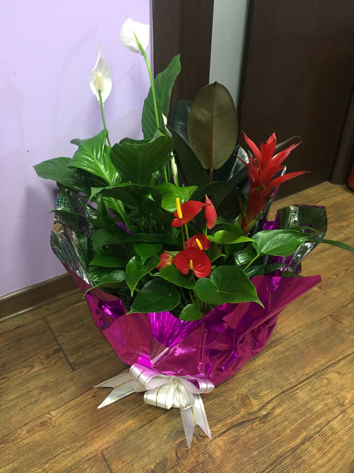 Arailym Kemelzhanovna