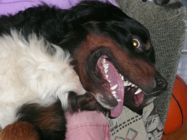 Любовь Спицына