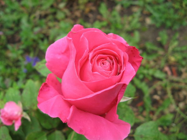 Рим Иванова