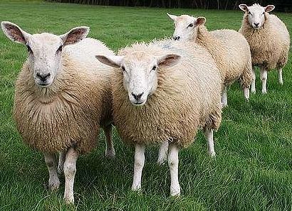 Татьяна Smoltat