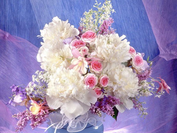 Люба Попова