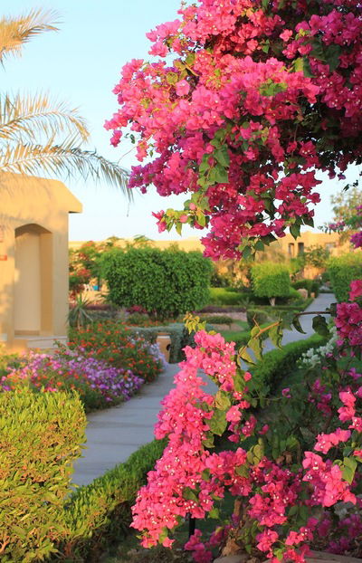 Анна Дмитриева