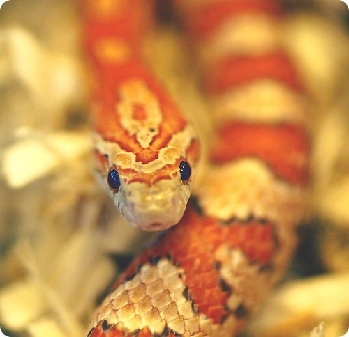 Наталья ****************