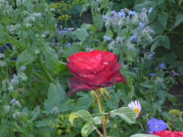 ***@nyta_С Екв ****