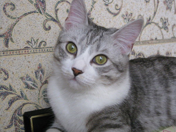 Мария Поримон