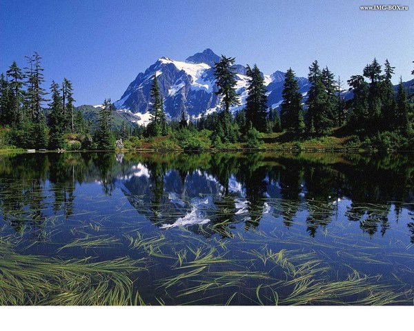 Андрей *******