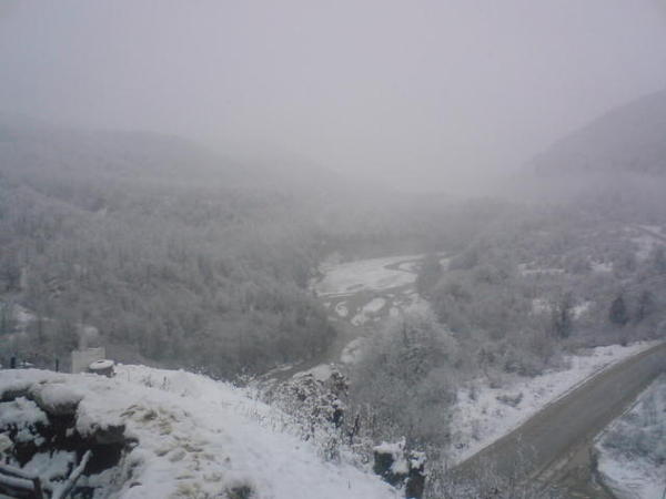 Денис Данилов