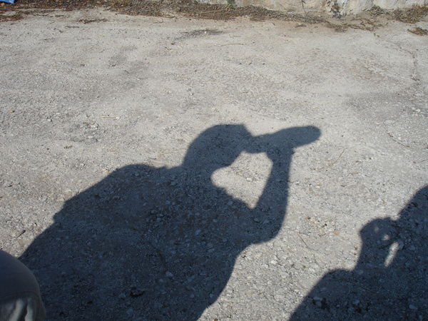 Дмитрий Тимофеев