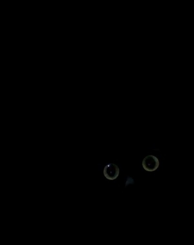 Ксеня Сановна