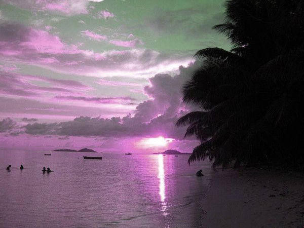 Андрей Костылев