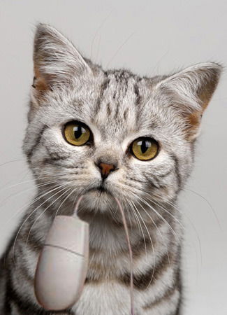 Светлана *******