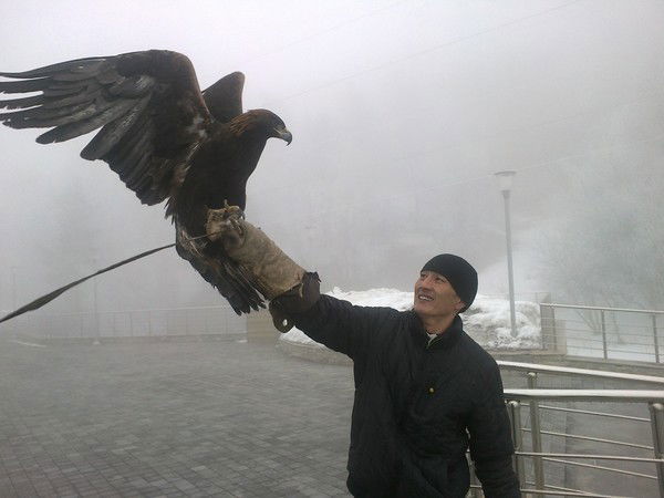 Айжарык Наурыз