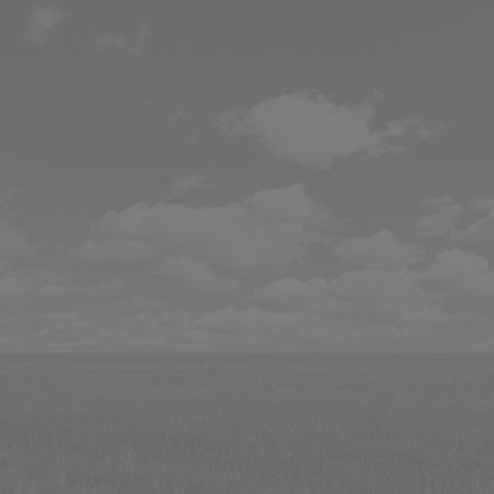 Александр Морской