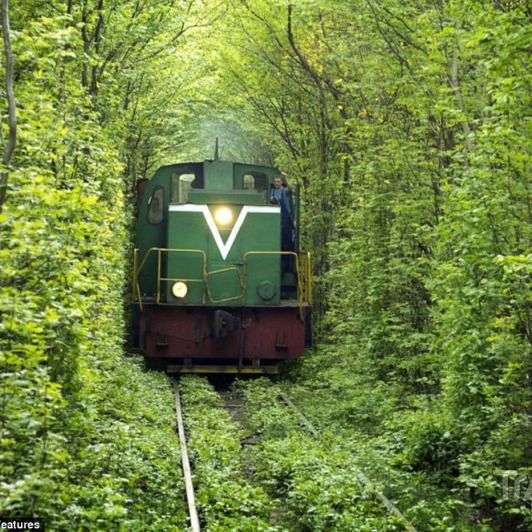 Дмитрий Матвийчук