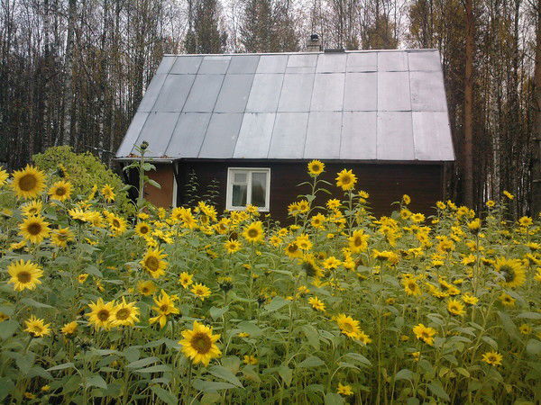 Галина Щукина