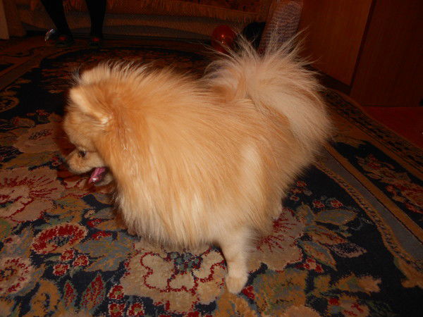 Valentina Veretelnik