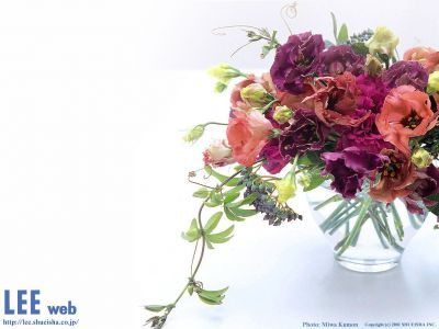 Ирина Коноплева