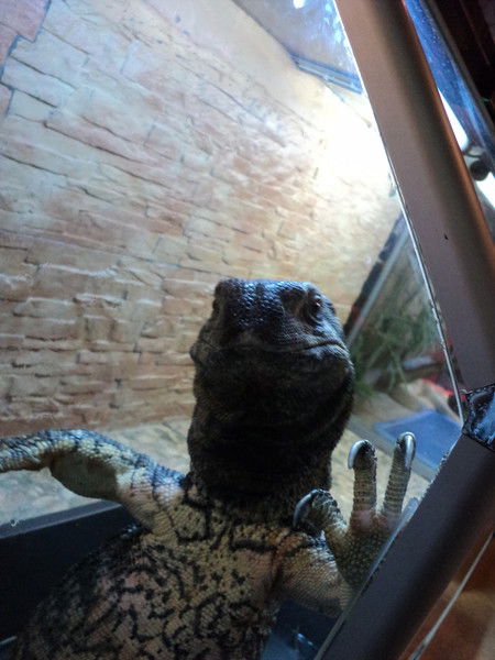 Василий ********