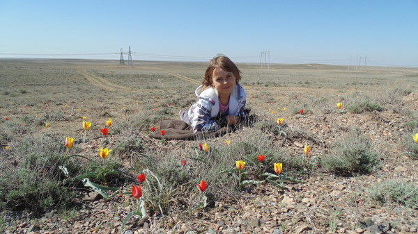 Вилена Шартнер