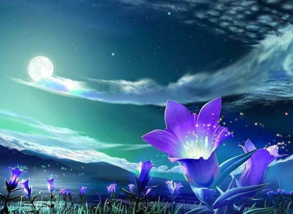 Гульнура Амреева