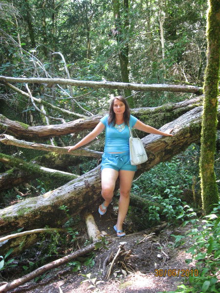 Анна Лебедева