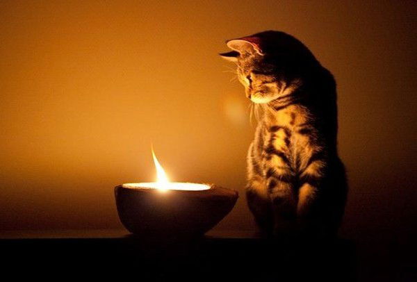 Татьяна Куренкова