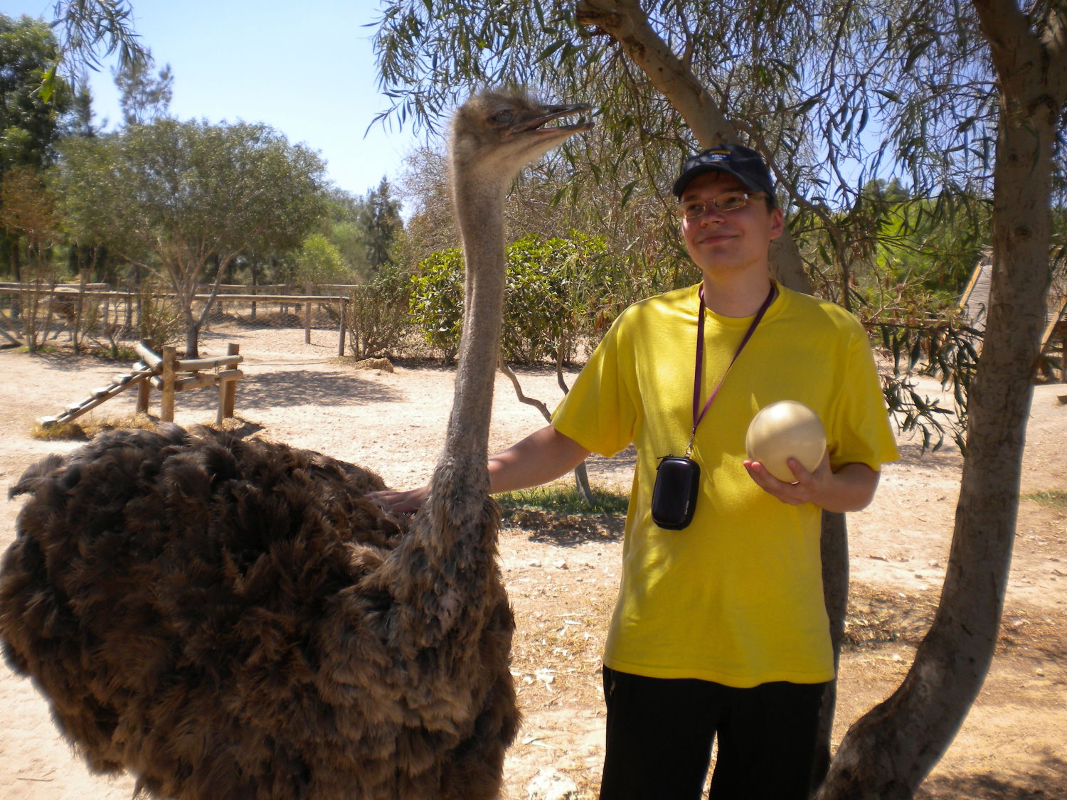 Дмитрий Орлов