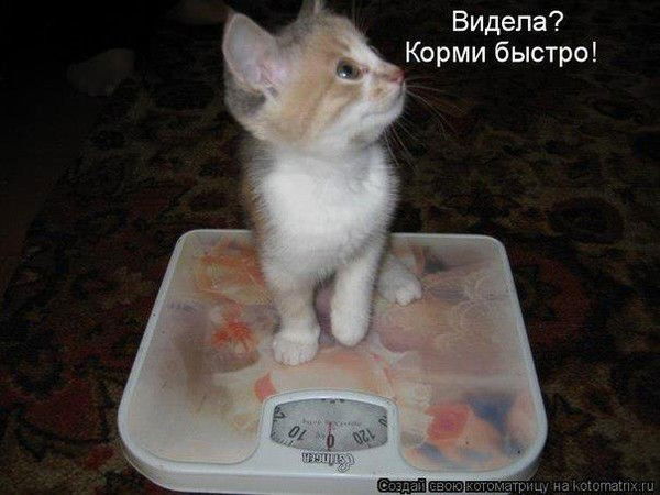 Капитонов Виктор