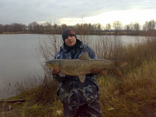 Алексей Акифьев