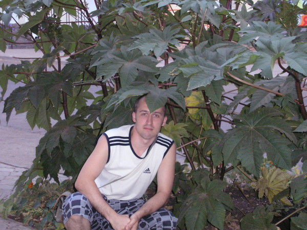 Денис Смирнов