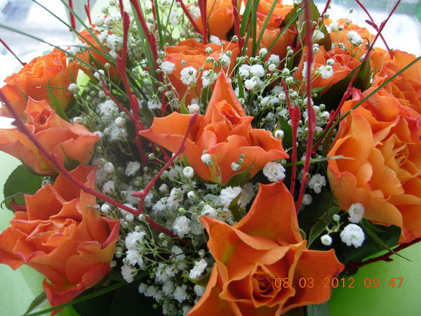 Тамара Совраненко