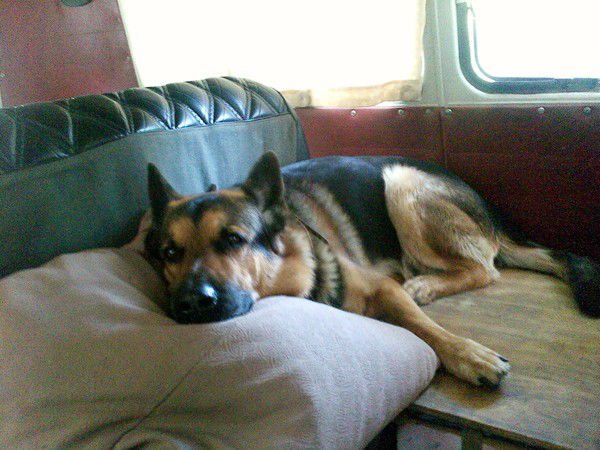 Александр Королев