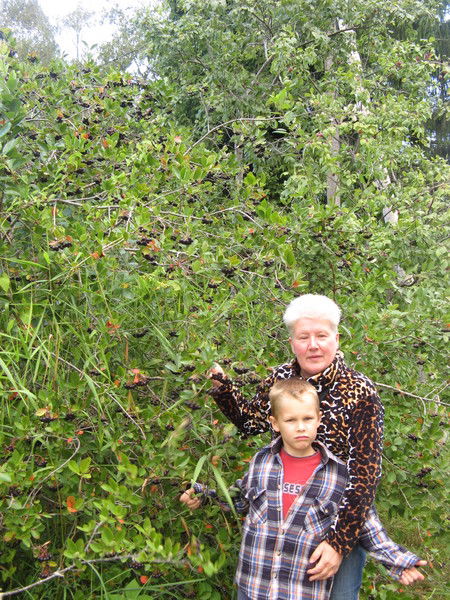 Валентина Волковскис