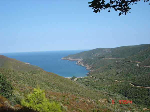 Ирина Триандофилиди