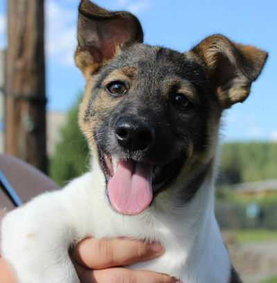 Катя Багрянцева