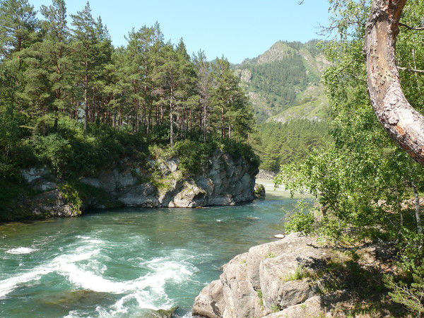 Игорь Злобин