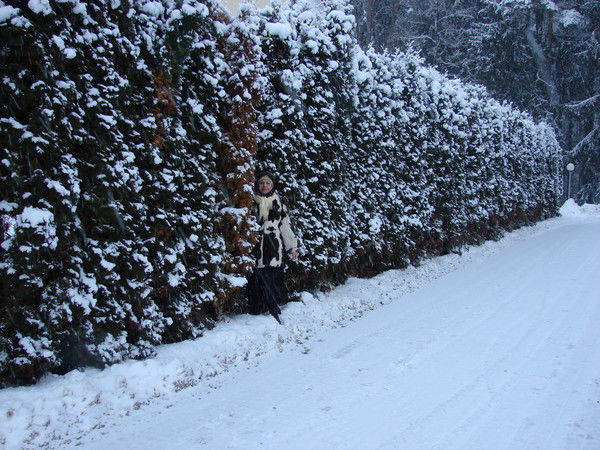 Лариса Никифорова