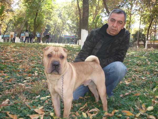 Нуриддин Бурханходжаев