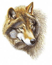 Бектемс Кенесбаев