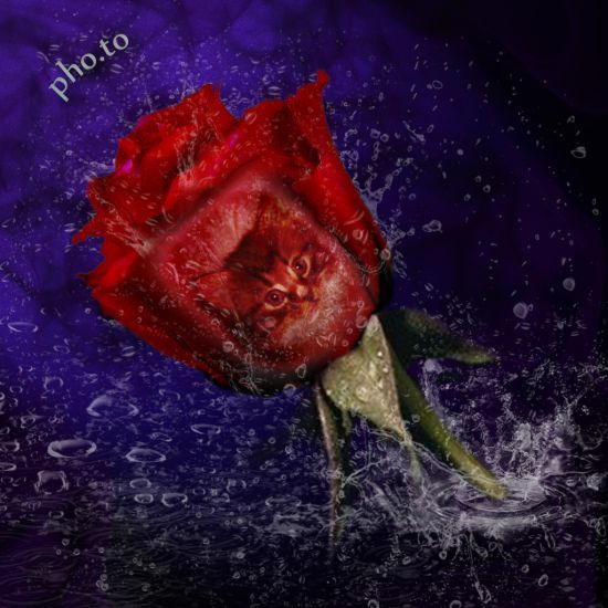 Мария Олейник