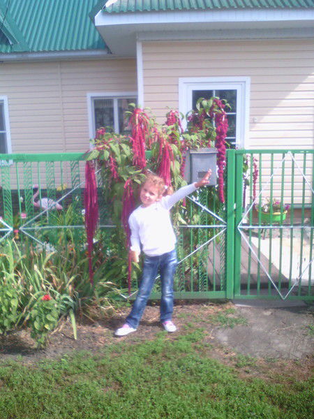 Марта Катункина