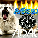 Абзал Тажибай