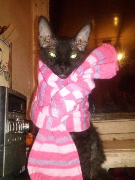 Неизвестно Неизвестно